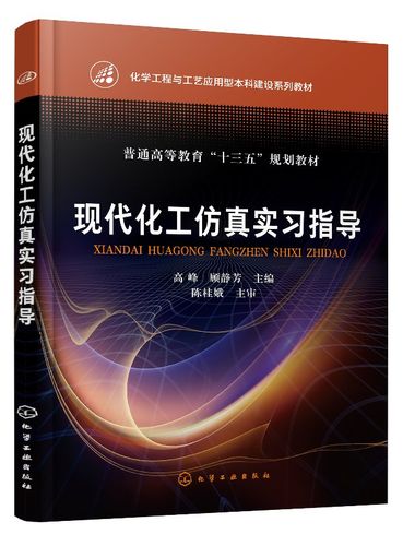 原理图书 cest单元csts典型化工产品生产工艺 仿真指导培训教材图书籍