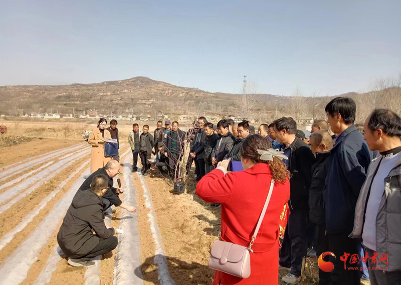 灵台:技术培训为春耕生产"蓄电赋能"_来稿选登_中国甘肃网