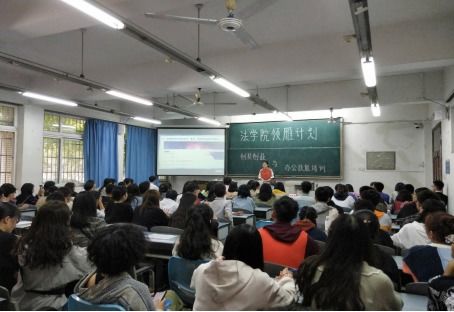 领雁计划 之创新创业与办公技能培训活动成功举办