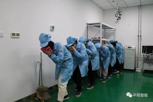 安全培训筑防线,消防演练强技能