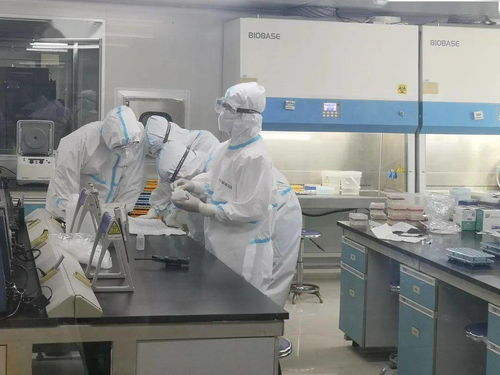 西安金域 全省临床基因扩增技术检验实验室技术人员现场操作培训 正式开课