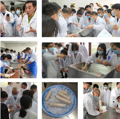 2021首期鱼糜及其制品加工技术培训班圆满成功