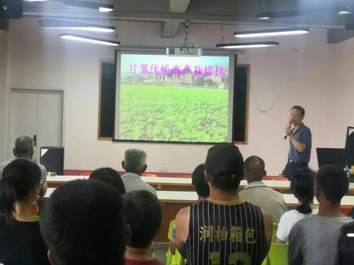市农业农村局组织开展甘薯栽培技术培训