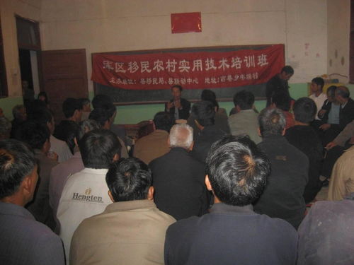 实用技术培训与科技咨询 推动创新发展的双引擎